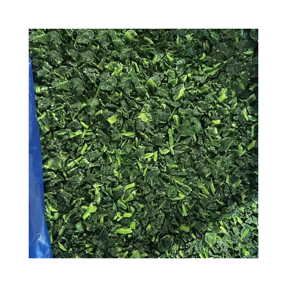 Blocco di spinaci congelati/IQF In condizioni molto fresche per la cottura rapida con il prezzo di fabbrica marchio WXHT pronta consegna e campione gratuito