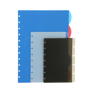 Benutzer definierter Disc-gebundener Loseblatt-Notebook-Teiler Index für Planer aus transparenten und farbenfrohen Tabs - Product Image 1