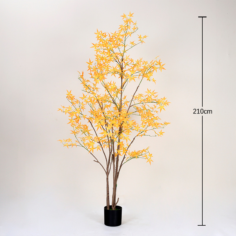 210cm