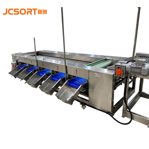 ライチグレーダーマシンJC SORT高度自動フルーツ仕分けグレーディング - Product Image 6
