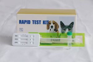 ชุดทดสอบสัตว์เลี้ยง <span class=keywords><strong>CPV</strong></span> Ag + ccv + Giardia Combo ทดสอบอย่างรวดเร็วตรวจวินิจฉัย <span class=keywords><strong>CPV</strong></span>-CCV-GIA/<span class=keywords><strong>CPV</strong></span> + ccv MSLDH15B