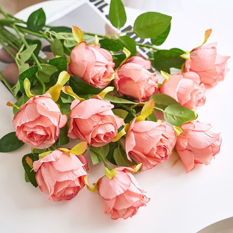 Pourpre