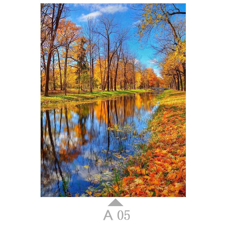 Multicolor-A05