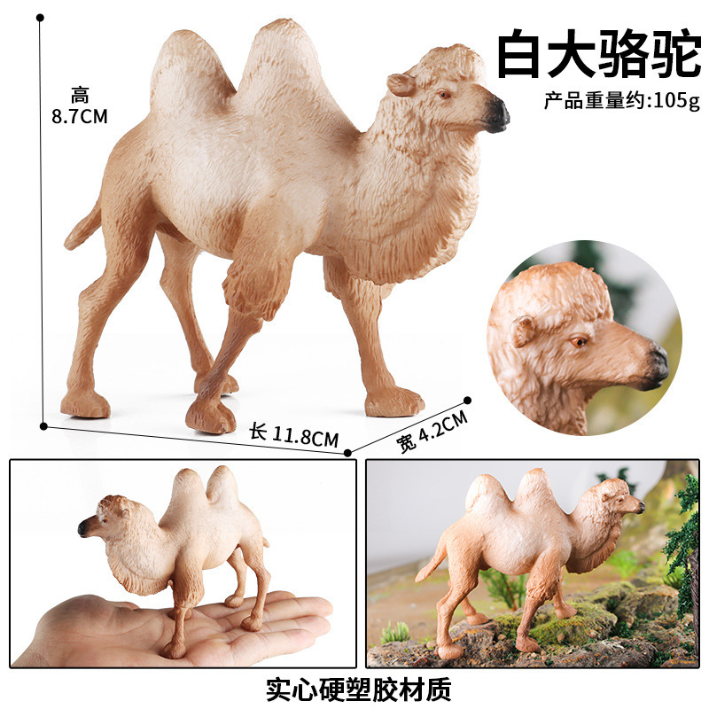 Bactrian Camel 0.105KG