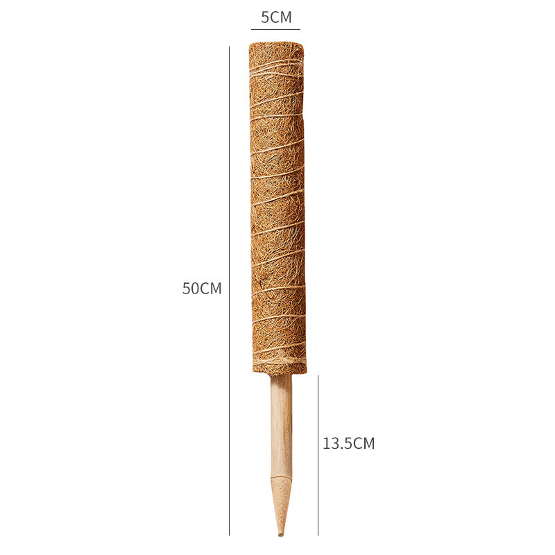 50 ซม.