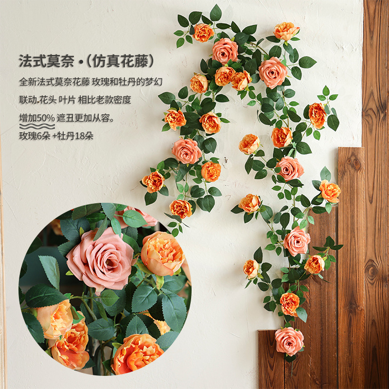 ดอกโบตั๋นสีส้มชมพู Monet (1.8 เมตร)