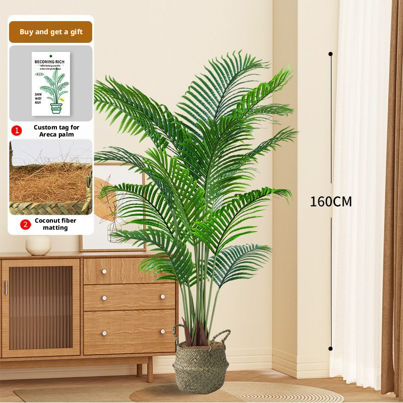 Palmier Areca vert 160 cm, 12 tiges, 12 feuilles, pot en herbe tressée
