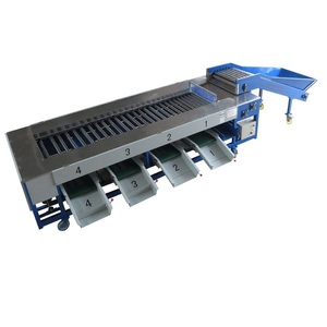 Automatic Orange <strong>Sorting</strong> <strong>Machine</strong>/ Fruit and Vegetable <strong>Sorting</strong> <strong>Machine</strong>/ Potato Grader - Product Image 3