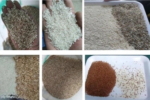 Máquina automática de clasificación de arroz parcocido, nuevo modelo, CCD, para Molino de arroz, 2022 - Product Image 2