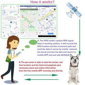 4G IOS安卓智能宠物跟踪器地理围栏实时定位全球定位系统跟踪装置全球定位 - Product Image 2