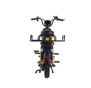 電気シティバイク長距離ランニングキング電気自動車小型電気オートバイ800W