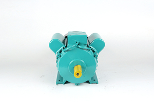 YL-132S-4 220v 7.5hp 5.5Kw 4p Single Phase Ac <strong>Motor</strong> 1400 Rpm <strong>Electric</strong> <strong>Motors</strong> - Product Image 3