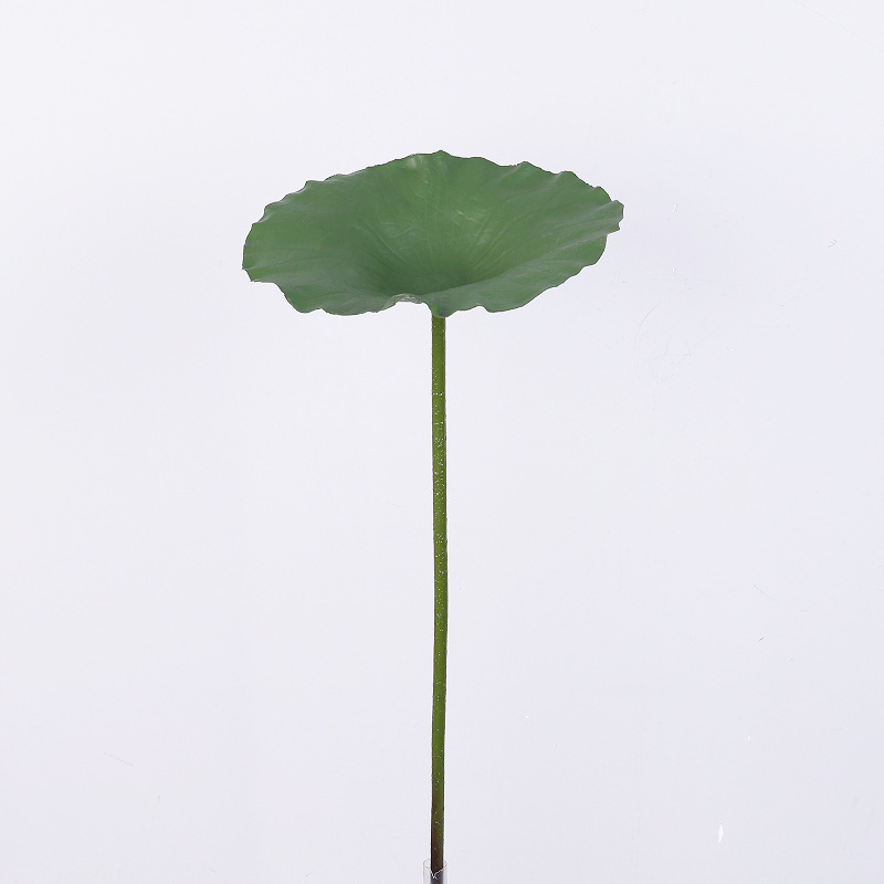 77cmLeaf