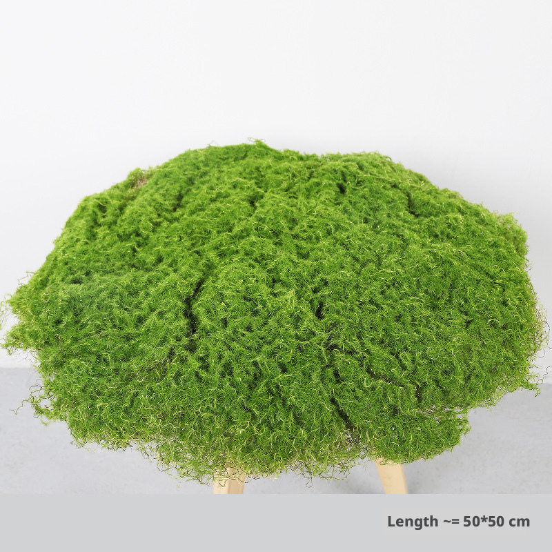 pelouse vert clair-mousse