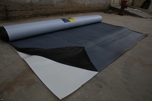 Otel uygulaması için 1.5mm yüksek polimer EPDM membranlar Modern tasarım tarzı su geçirmez yapı çatı malzemesi - Product Image 6