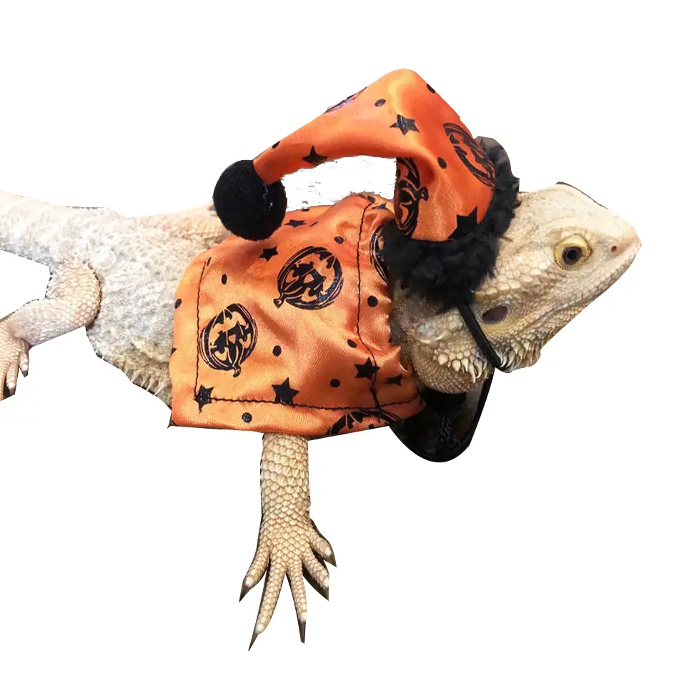 Halloween cosplay Pet CAPE thằn lằn trang phục halloween Pet trang phục cho cosplay Pet phụ kiện