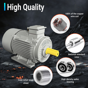 Động cơ không đồng bộ 50Hz 60Hz 1440 vòng/phút 30HP 22Kw ba giai đoạn động cơ AC động cơ điện - Product Image 2