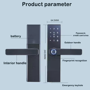 Prezzo a buon mercato digitale digitale elettronico biometrico codice della carta di Password TTLock Smart porta maniglia serratura per le case