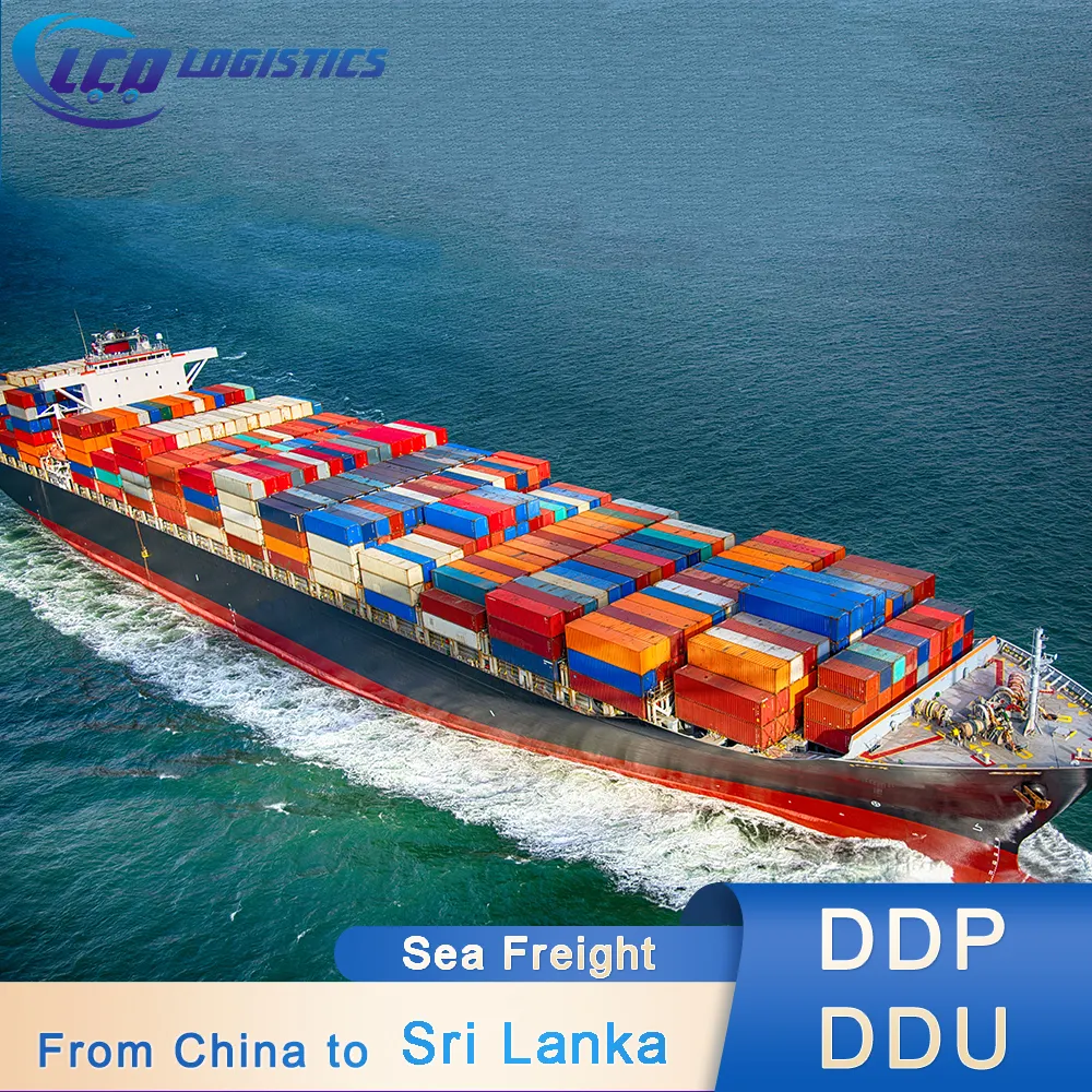 Ddp lcl fcl agent de transport de fret taux de fret maritime de shangdong shanghai guangzhou chine à colombo srilanka sri lanka en fba