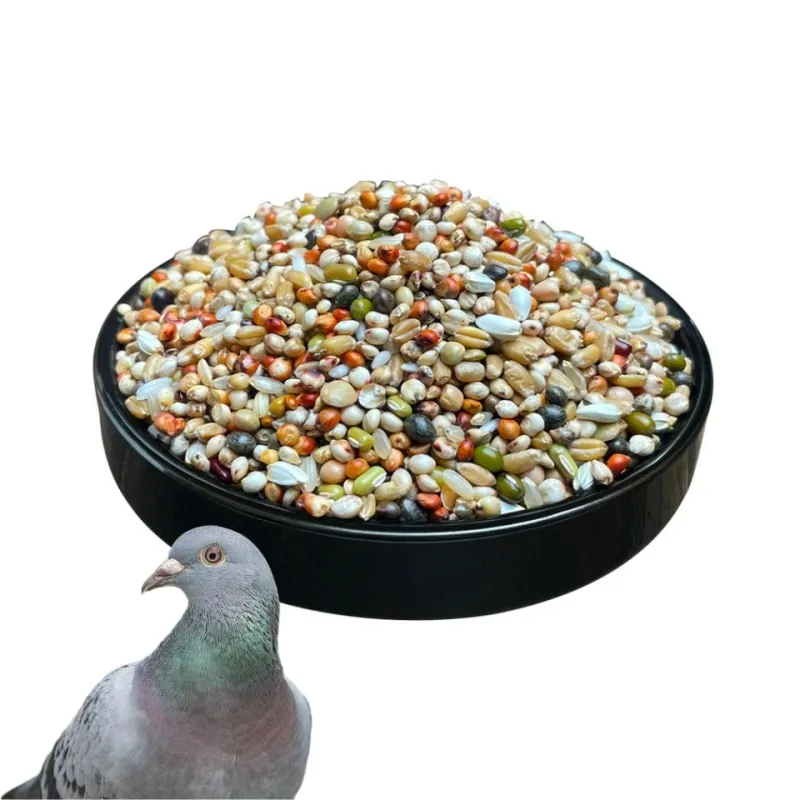 Vente en gros d'aliment frais pour animaux domestiques Nourriture pour jeunes oiseaux Tourterelle tachetée Mélange de graines pour petits pigeons Nourriture pour jeunes pigeons