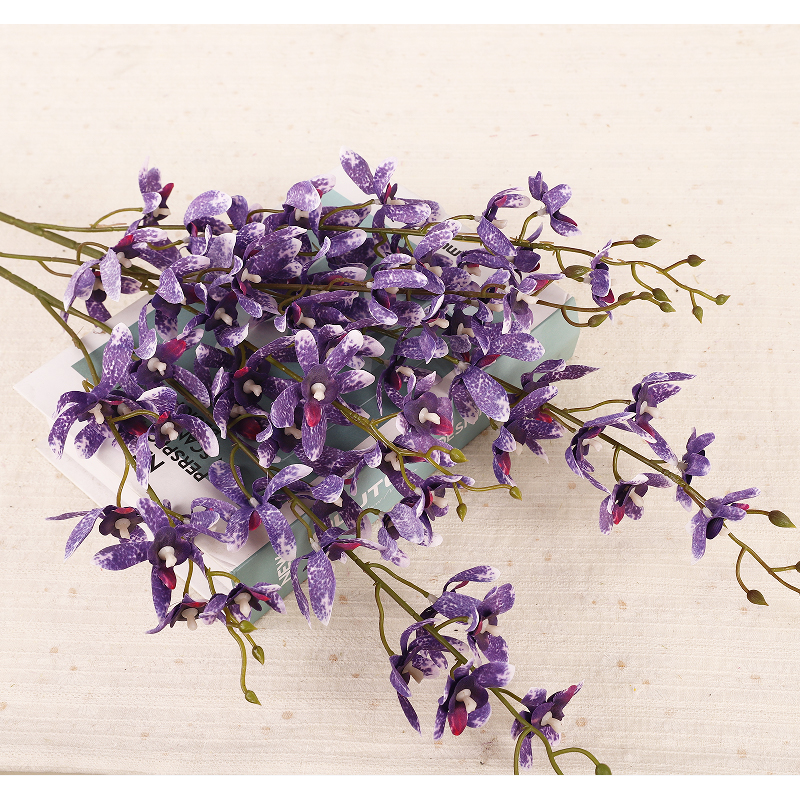 Pourpre