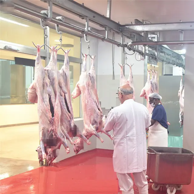 Halal Slaughter House Line Lamb Abattoir With Sheep Meat Processing Cutting Butcher Equipment