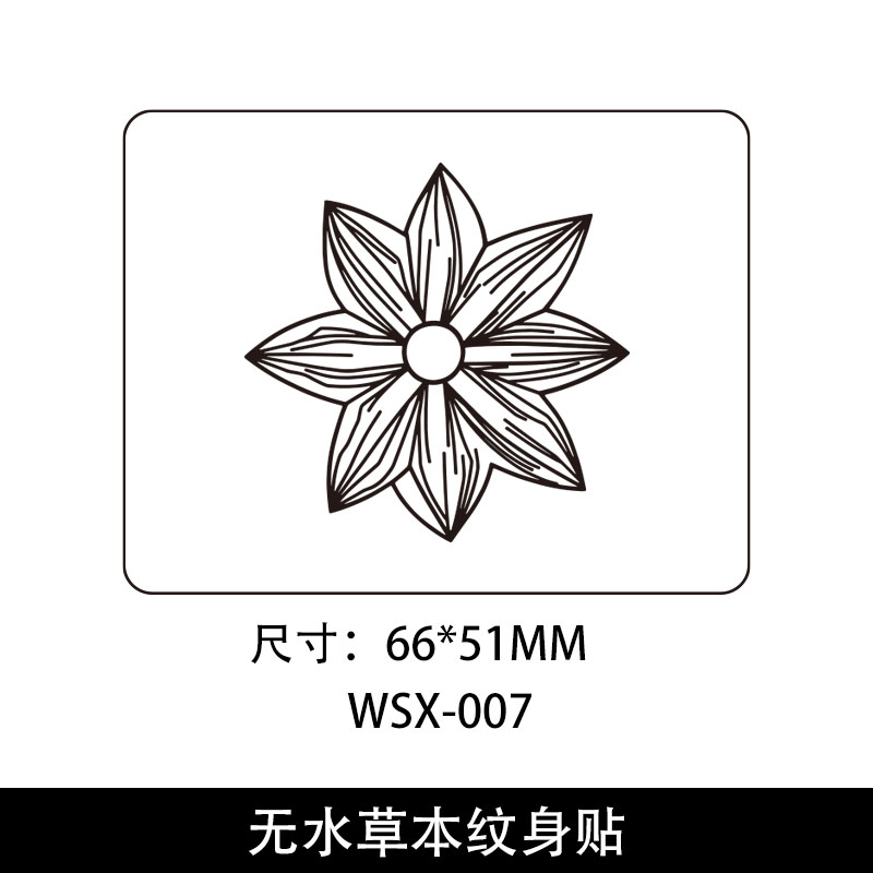 WS-007