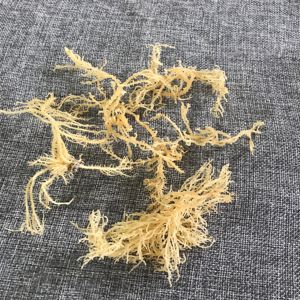 N10 प्राकृतिक समुद्री मॉस थोक अच्छी कीमत शीर्ष रेटेड ताजा सूखे समुद्री समुद्री मॉस - Product Image 4