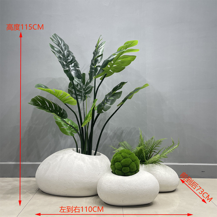 Natural turtle back set 6