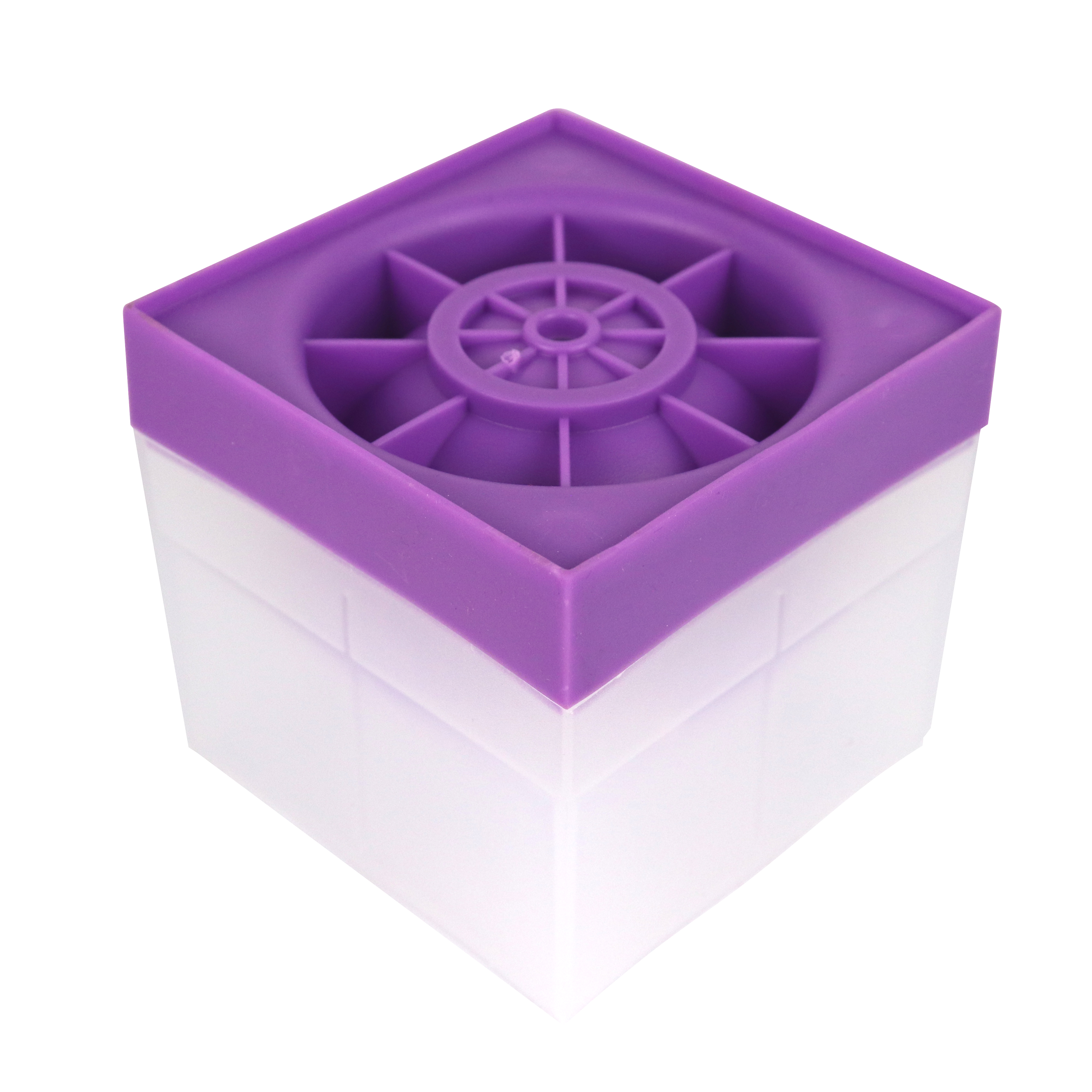Pourpre