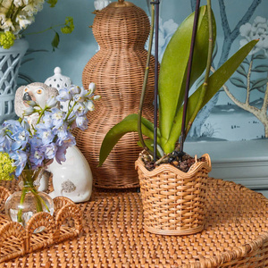Zarif tasarım ve işçilik ile vietnam'dan yüksek kaliteli Rattan dekoratif ekici. - Product Image 3