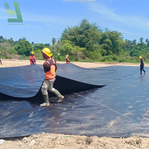 Düşük maliyetli fabrika HDPE geomembran astar 0.35mm 0.5mm 0.9mm 1.0mm 1.2mm 1.5mm balık çiftliği gölet gömlekleri - Product Image 5