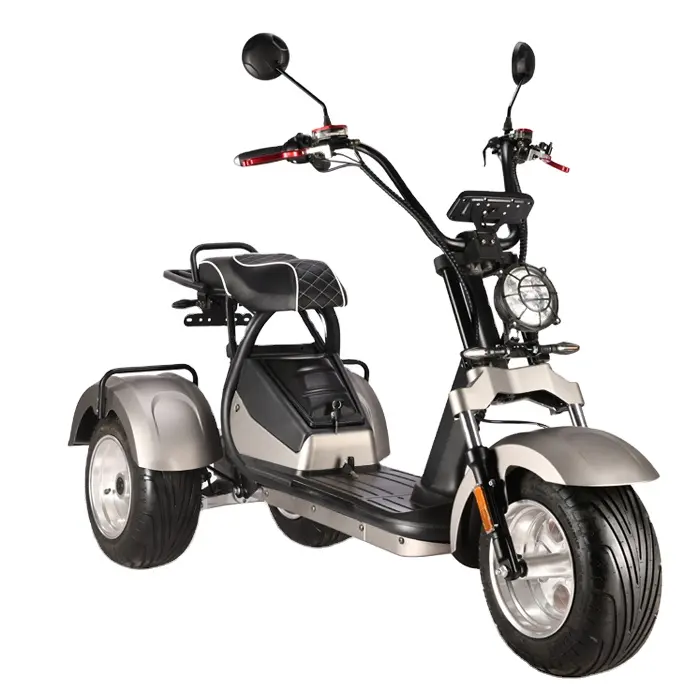 3 바퀴 전기 스쿠터 60V 20AH 강력한 모터 탈착식 배터리 지방 타이어 오토바이 전기 스쿠터 citycoco 성인