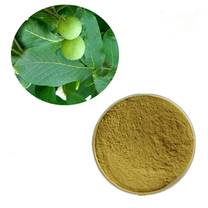 Toptan Juglans Regia yaprağı ekstresi/ceviz yaprağı ekstresi tozu - Product Image 1