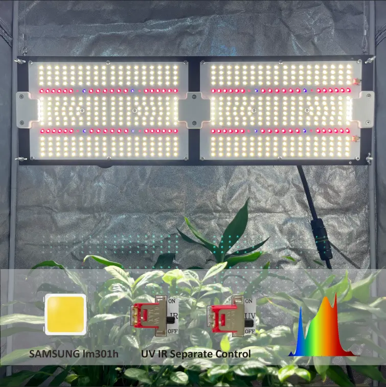 En iyi fiyat orijinal Samsung lm281b 240w kırmızı 660nm Panel panoları kapalı bitki yetiştirme lambaları ile ışık büyümeye yol açtı