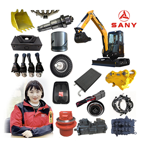SY870C SY900C sysyiçin orijinal SANY ekskavatör yedek parçaları üst taşıyıcı rulo montaj 13727050 SWT260B - Product Image 6