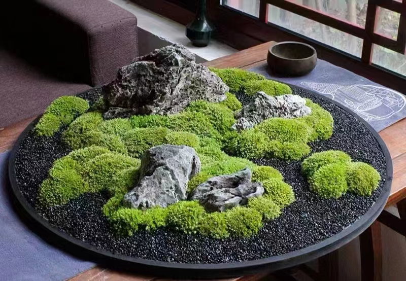 Décoration de mousse et plantes
