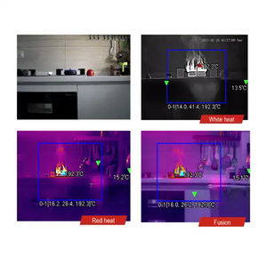 Cámara térmica IP de 5 megapíxeles para detección de humo/fuego cámara de red de espectro de medición de temperatura