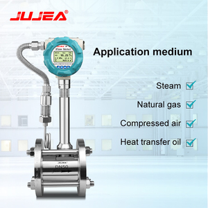<strong>Vortex</strong> <strong>Flowmeter</strong> DN100 Steam Flow Meter Digital Gas Flow Meter 4-20mA <strong>Output</strong> for CO Gas - Product Image 2