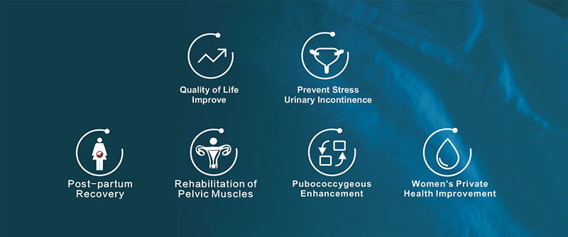 Стимулятор мышцы тренера 50hz пузыря прибора мочевыделительного Incontinence EMS прямой кишки поднимаясь тазобедренный влагалищный 4