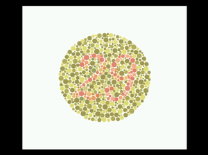 Elite Digital Visual Acuity <strong>Chart</strong> LCD Vision <strong>Chart</strong> with Low Price - Product Image 5