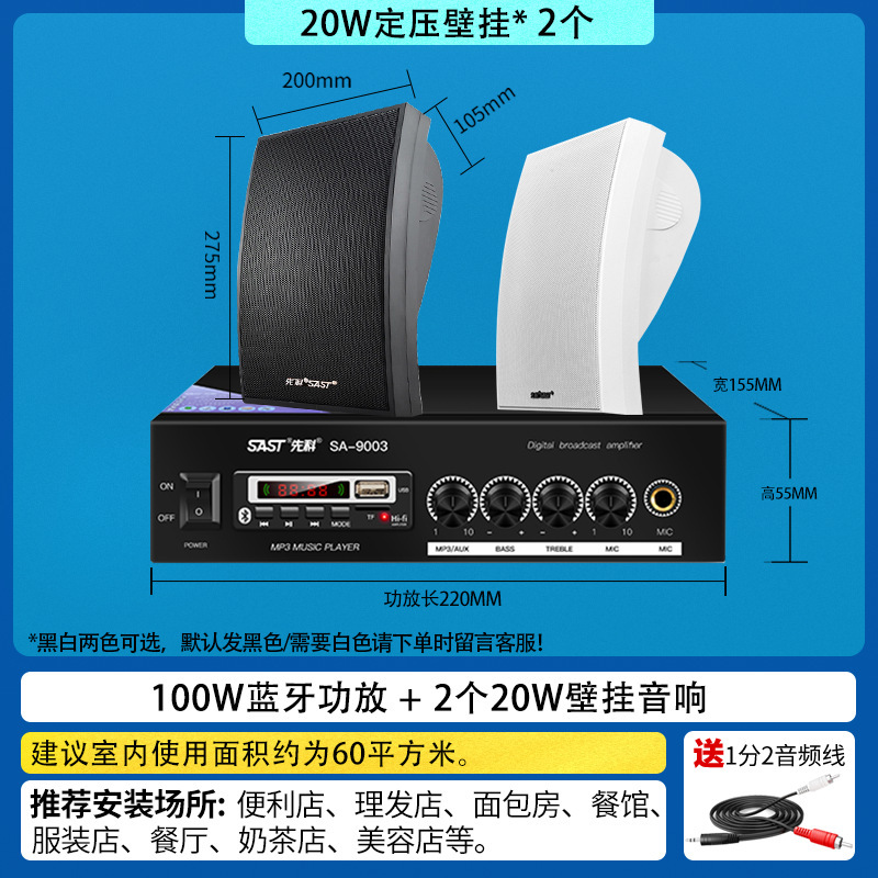 Amplificador de 100W y dos altavoces de pared A6
