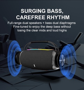 Nuevo diseño OEM Wild Mini 5,3 Sistema de audio grande Sonido Pequeño amplificador personalizado Altavoz inalámbrico Altavoz portátil Fábrica - Product Image 5