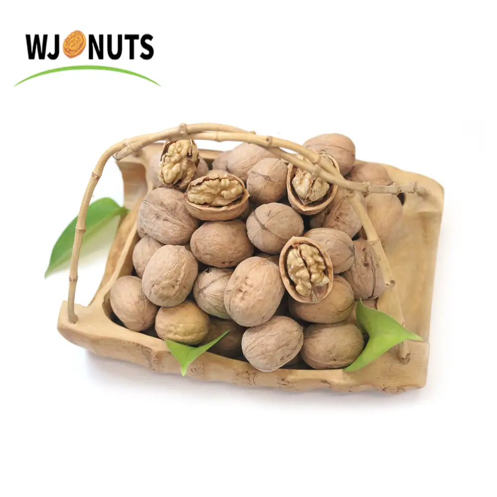 China xinjiang manufacture cheap price paper skinned 185 washed walnuts