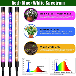 ไฟ LED สำหรับปลูกพืชแบบปรับได้ไฟตั้งได้เต็มสเปกตรัม10ระดับหรี่แสงได้3โหมดจับเวลาการออกแบบเมล็ดโคมไฟเริ่มต้นการเจริญเติบโต - Product Image 2