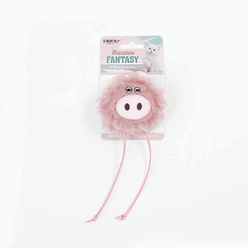 cochon