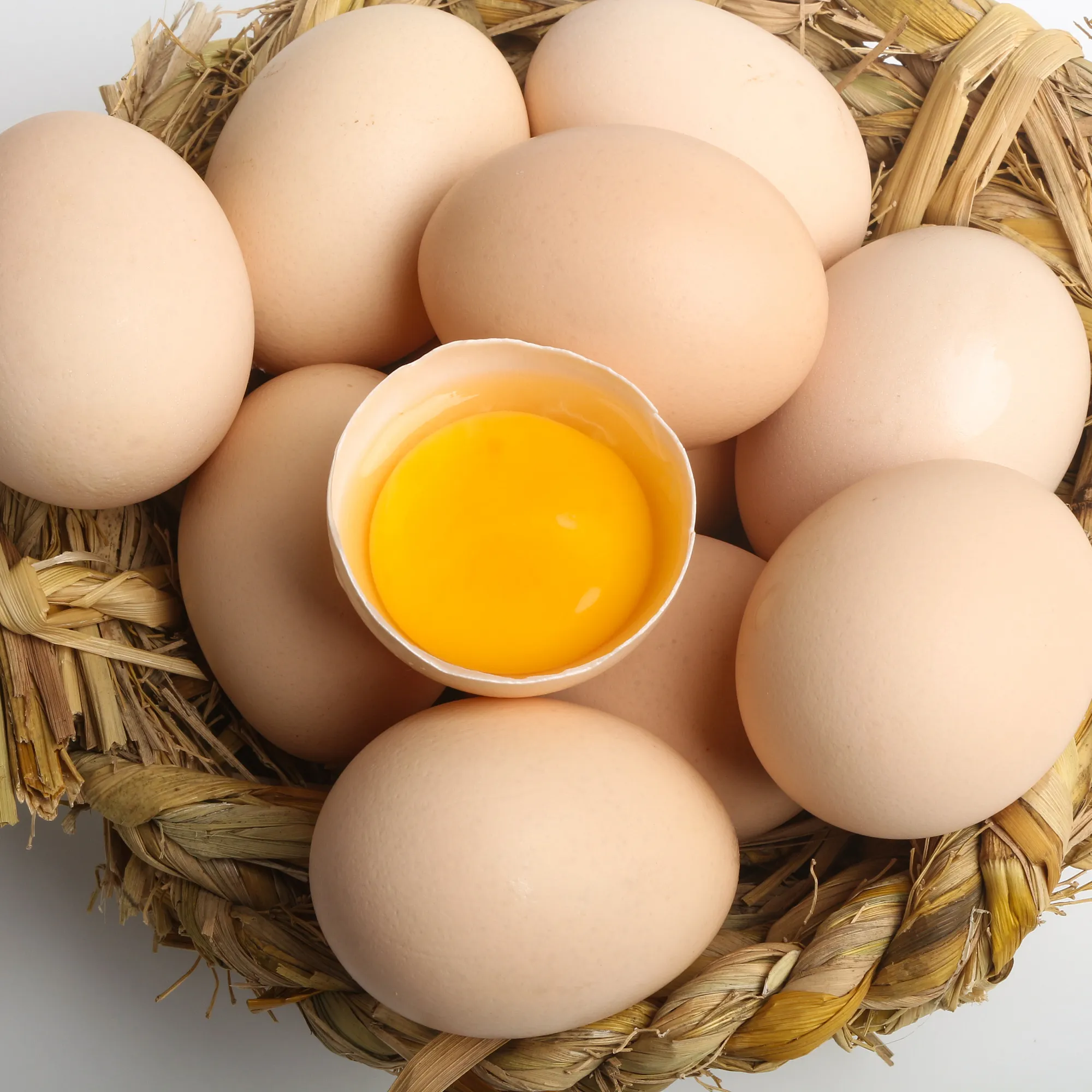 Gallinero para mejorar la tasa de producción de huevos