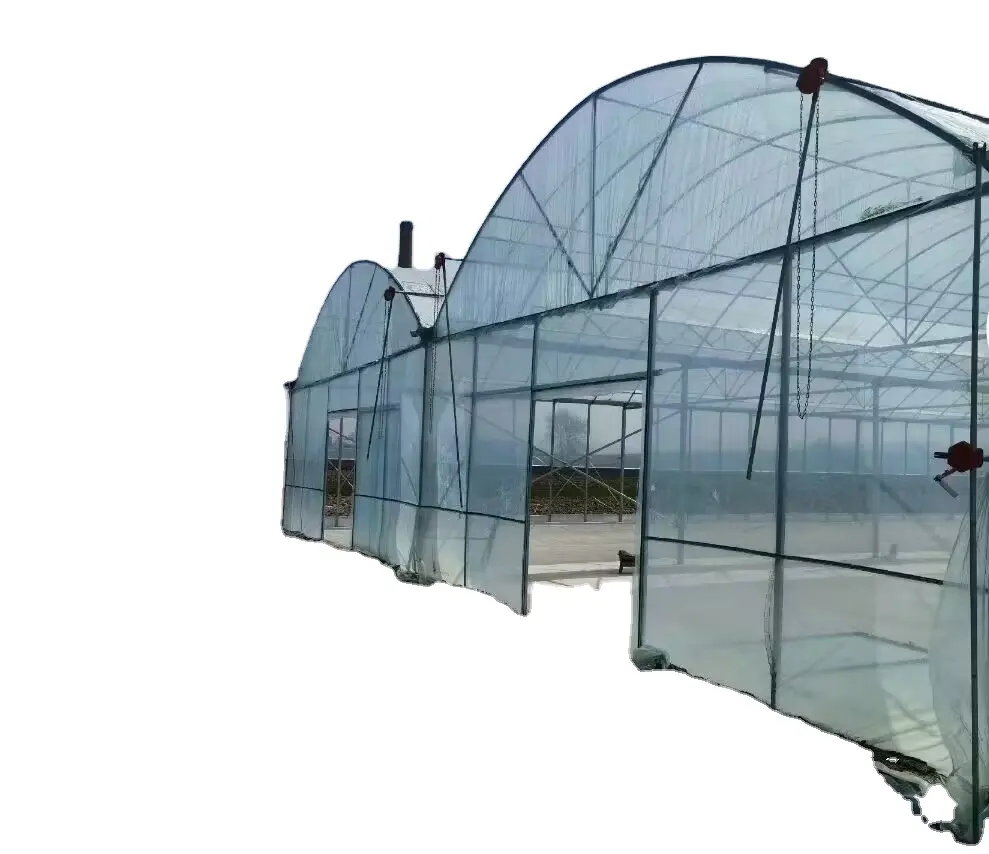 Filme plástico projetos turnkey com efeito de estufa grande arco multi-span para o plantio de tomate e morango