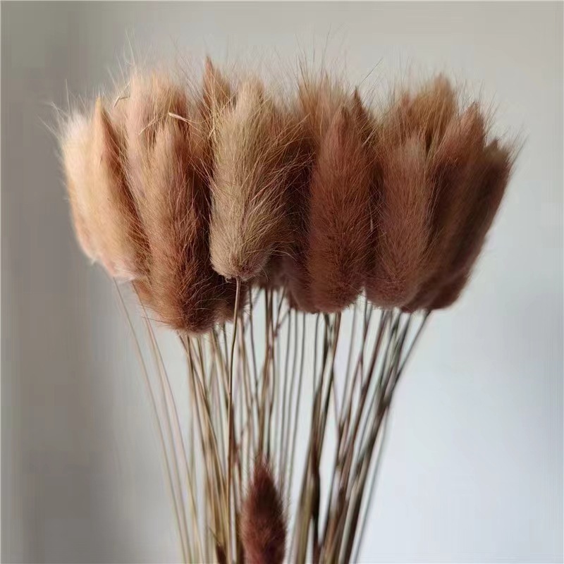 Marron (env.30 pièces)