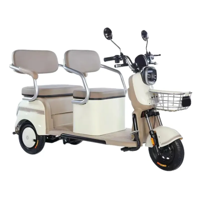 Triciclo elétrico de passageiros de 3 rodas de alta qualidade 48V 60V triciclos elétricos bicicleta de carga elétrica de 3 rodas para adultos